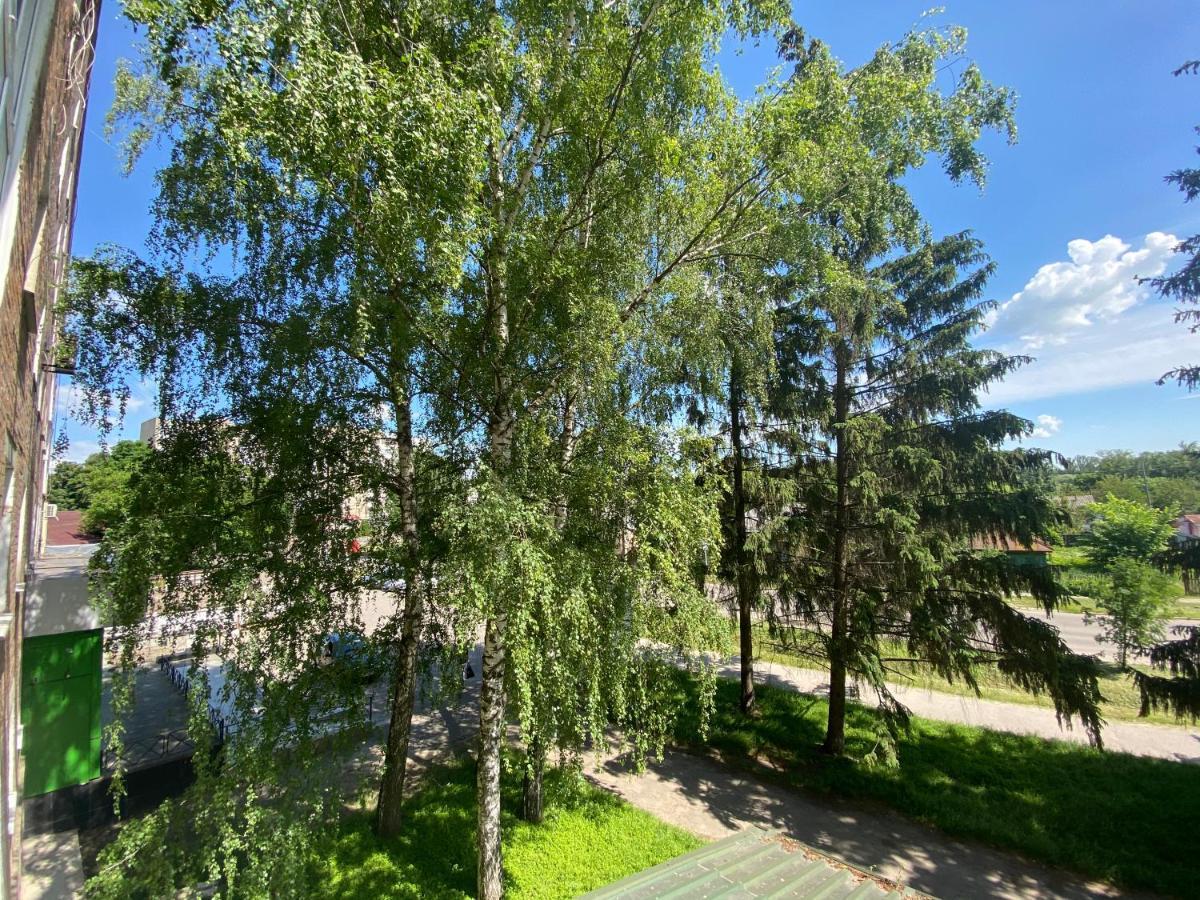 В Самом Центре Myrhorod Esterno foto