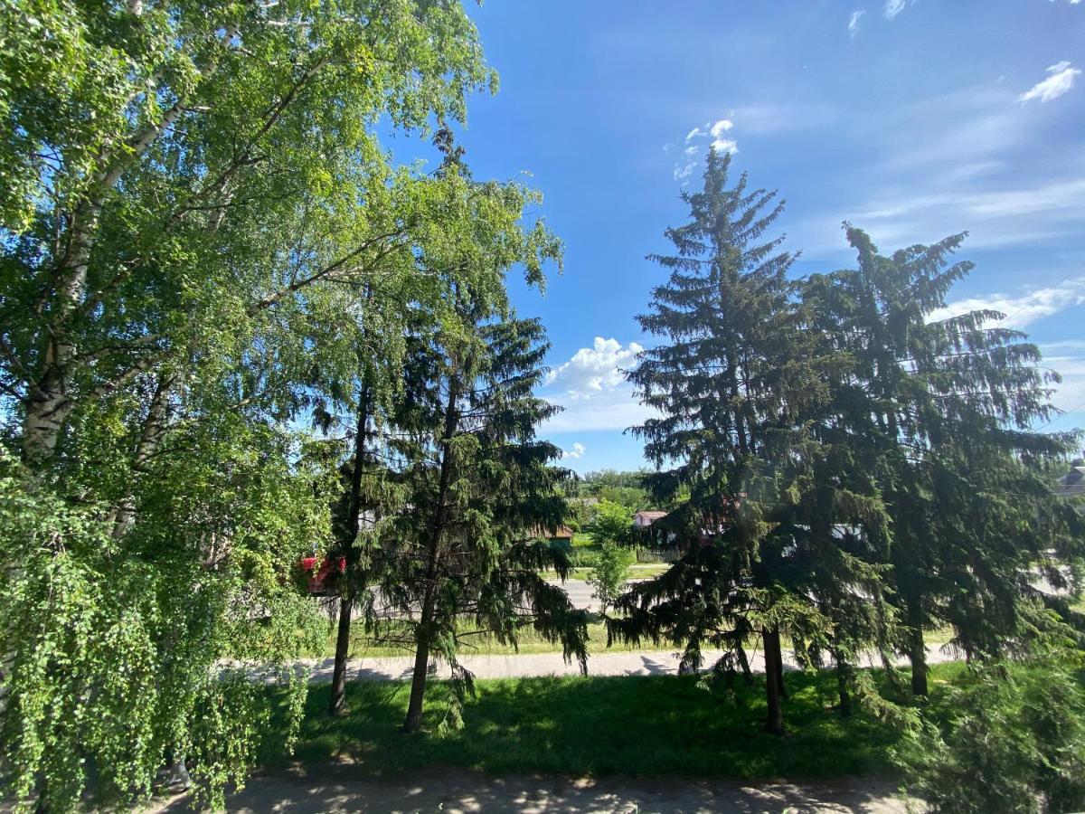 В Самом Центре Myrhorod Esterno foto